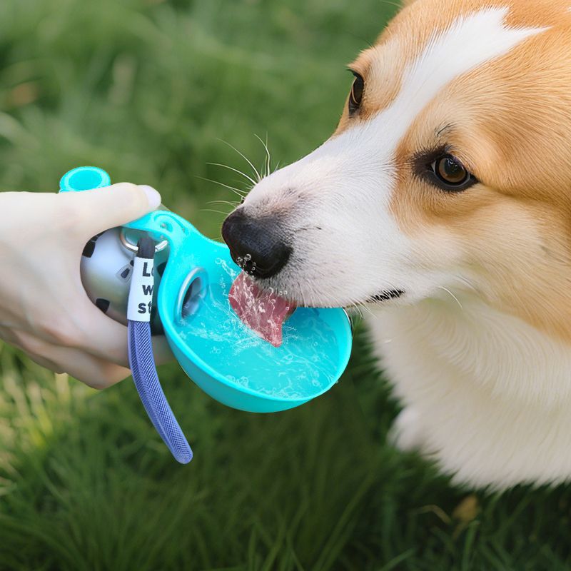 Pupsip™ Water Gourd 1.0